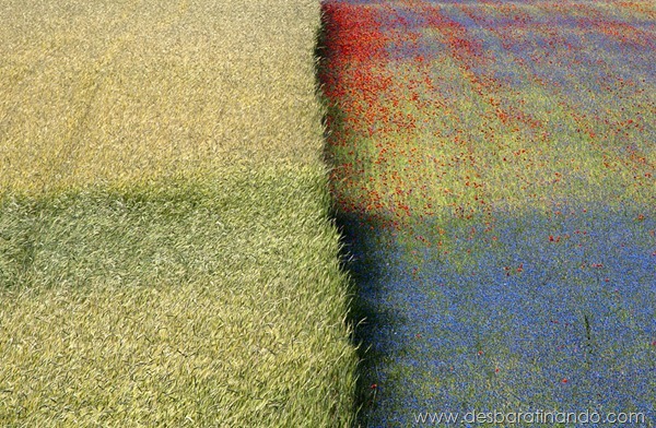 sony-world-photography-awards-2013-14 sony-world-photography-awards-2013-14