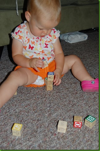 DSC_2032 DSC_2032