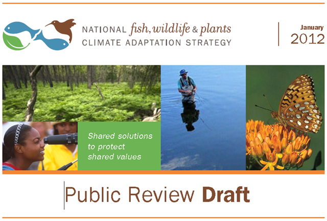 Cover of 'National Fish, Wildlife and Plants Climate Adaptation Strategy' public review draft, 2012. doi.gov