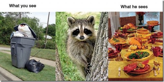 what-you-see-animals-02a9b9