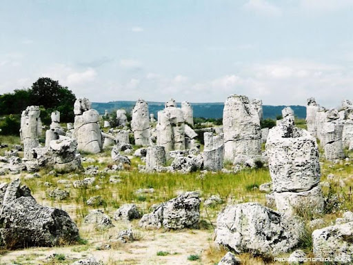 Stone forest in Bulgaria