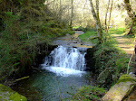 ca 052.jpg ca 052.jpg