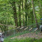 Downe Scout Camp - 3502432920.jpg