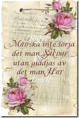 Man ska inte sörja Man ska inte sörja