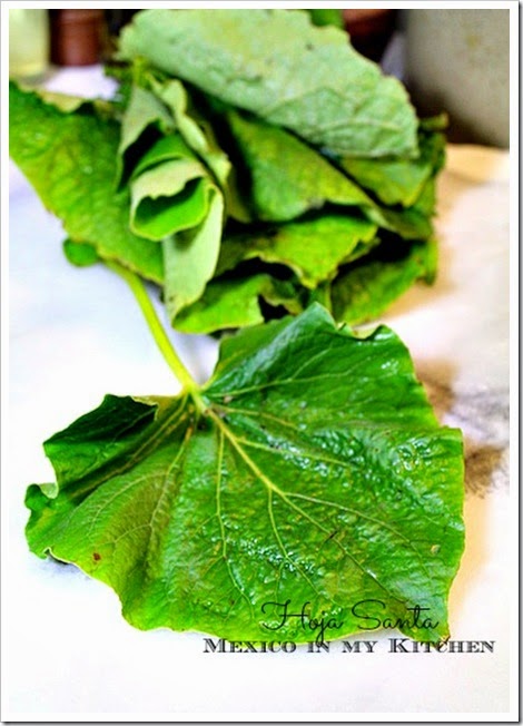 Mole verde recipe green chicken pork Mole verde recipe green chicken pork