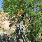 IMG_8353.JPG