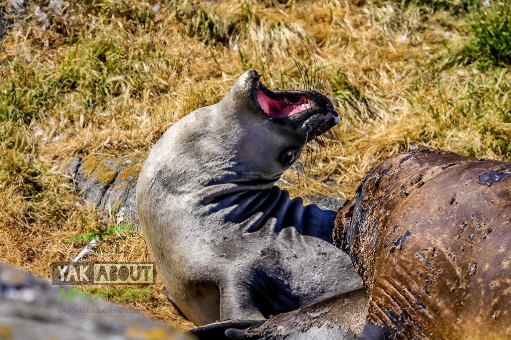 [%2528c%2529Worldwildadventures-6077%255B5%255D.jpg]
