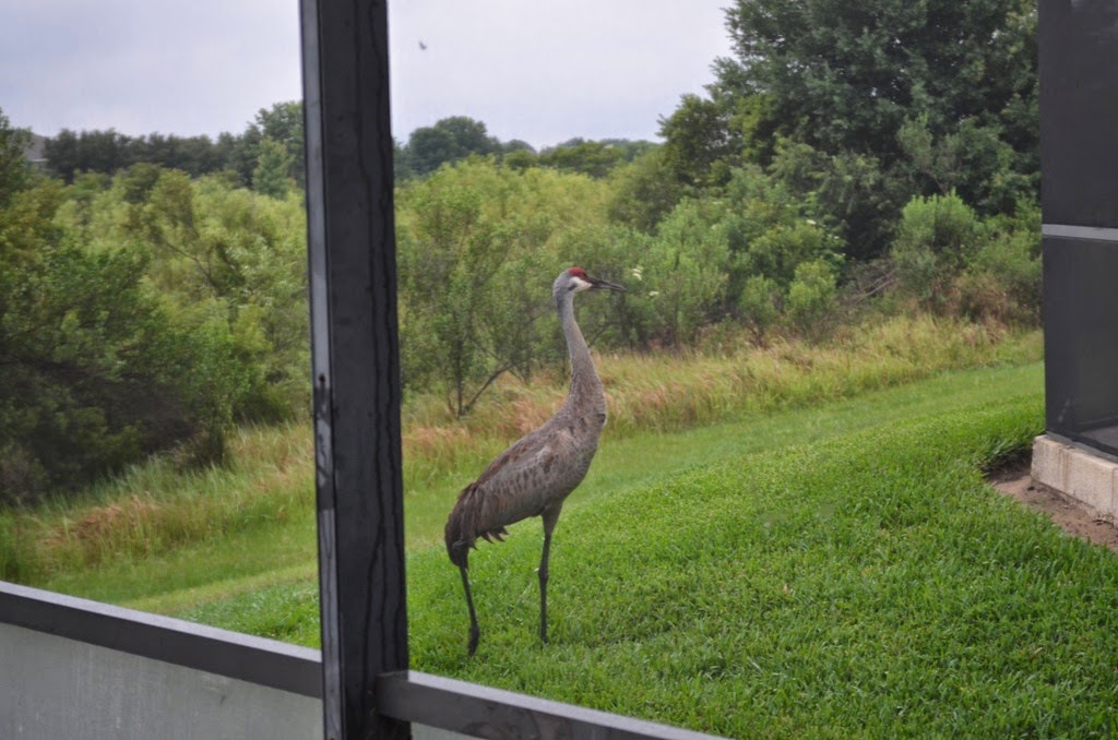 [DSC_7315%255B10%255D.jpg]