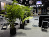 DSC00551.JPG