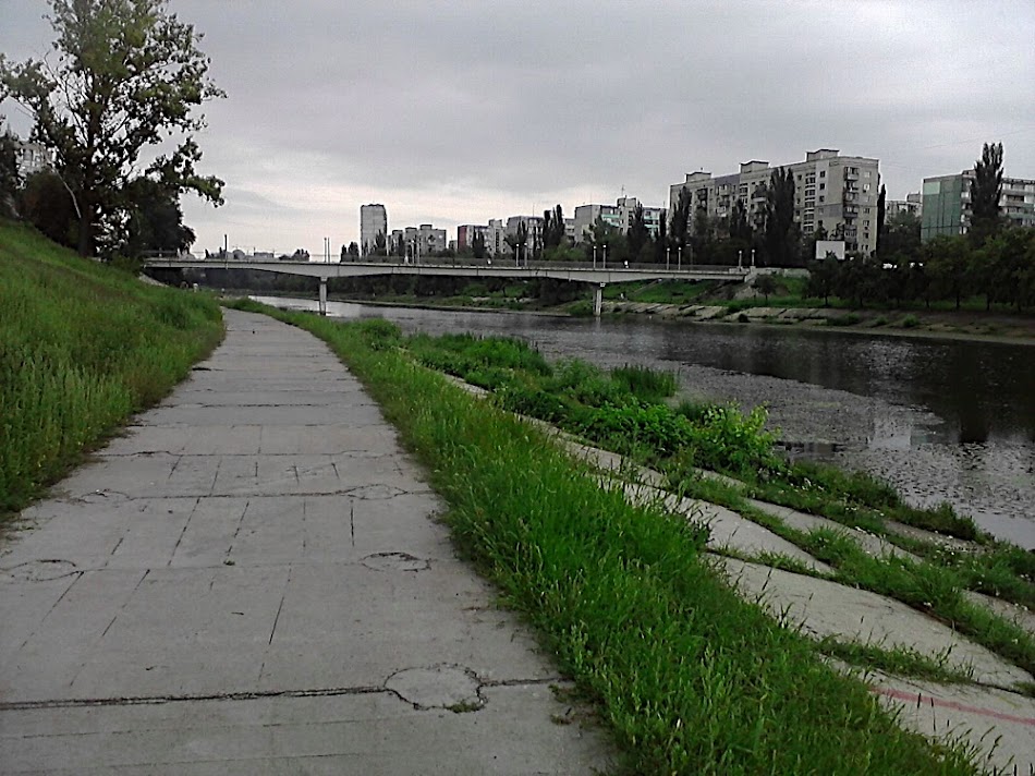 P200811_11.15.jpg