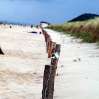 20100828_056_small.JPG