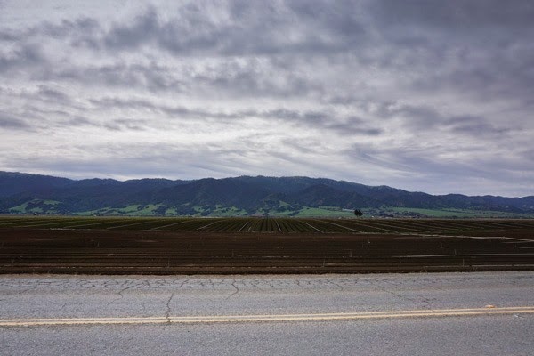 [20150313-DSC00322%255B4%255D.jpg]