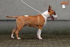 Karmacoma Fun-Da-Panda 7 months