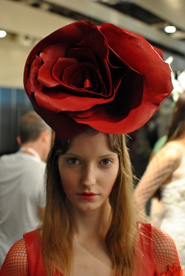 DSC_0555 DSC_0555