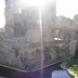 DSC07114.JPG