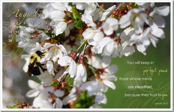 August-Wallpaper-S