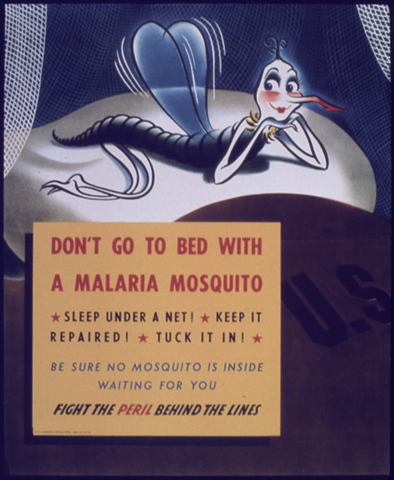 [Dont_go_to_Bed_with_Malaria_Mosquito%255B1%255D.png]