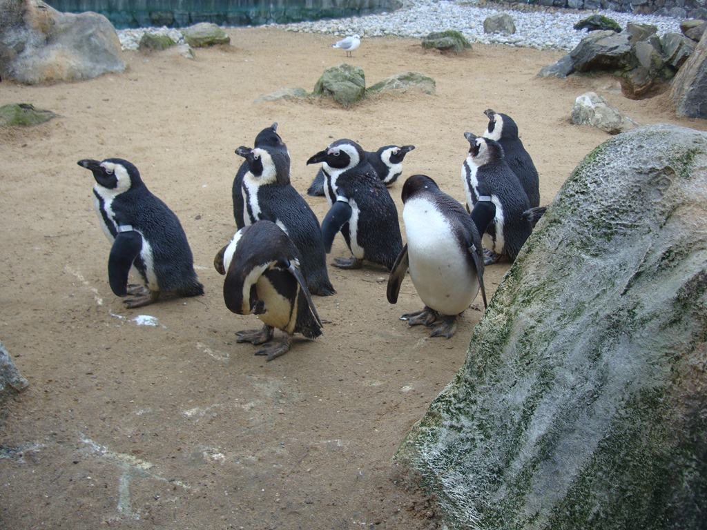 [DSC08170%255B4%255D.jpg]