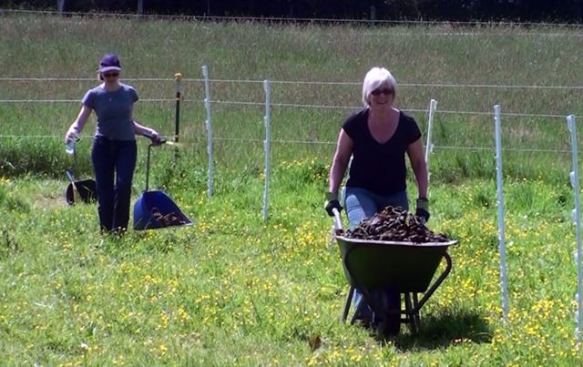 [kacke3%255B4%255D.jpg]