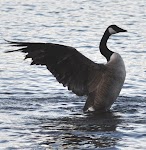 DSC_0310_new2.jpg