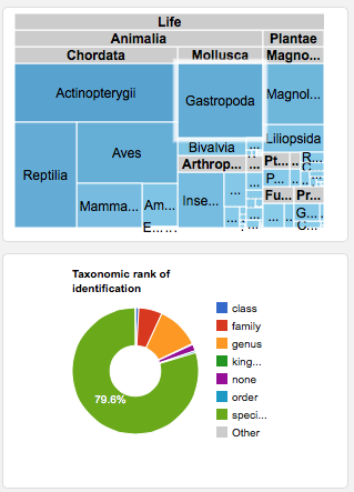 Taxa