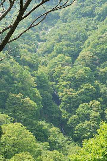 四十ヶ滝