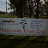 Tree Planting 2011