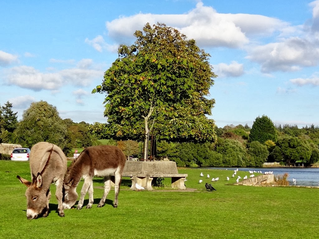 [DSC00492-1200x8994.jpg]