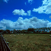 200606 Olanda Provia 100038-1.jpg
