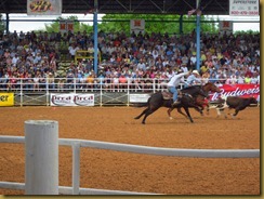 IMG_5513 IMG_5513