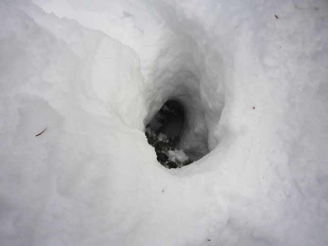 [IMG_6395%255B3%255D.jpg]