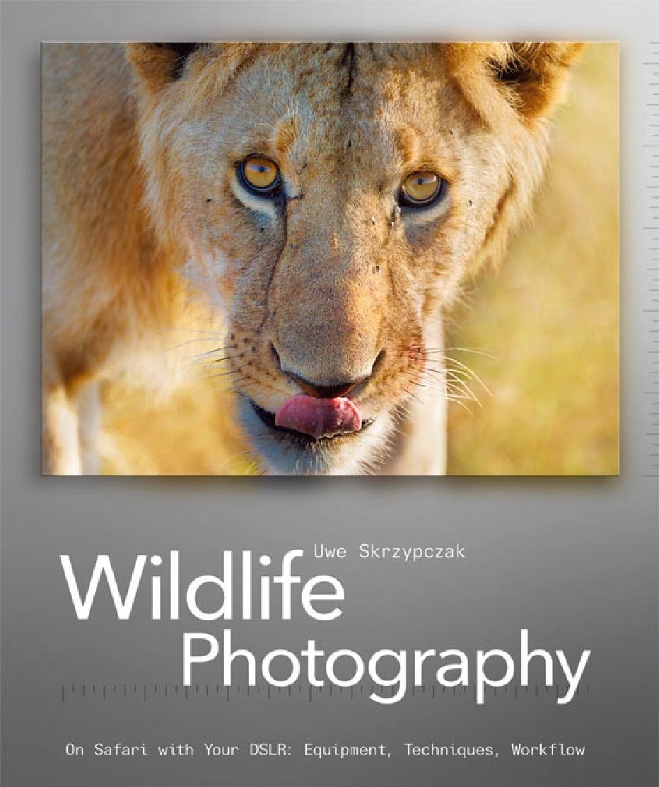 [20111218-Wildlife-Photography-Free-Download-01%255B6%255D.jpg]