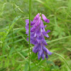 dsc01171.jpg