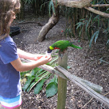Someone feeding a lorikeet at the Nashville Zoo 09032011a