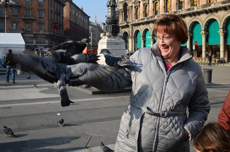[Milan-Shelley-birds13.jpg]