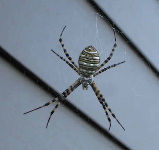 [IMG_7484%255B4%255D.jpg]