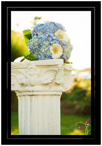 [AlbanyWedding-7132%255B3%255D.jpg]