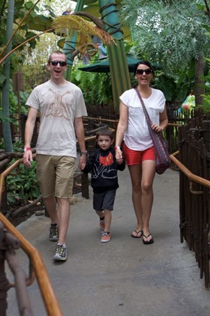 bugs land so excited