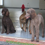 DSCN2307.jpg