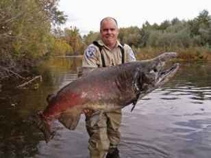 largest-salmon