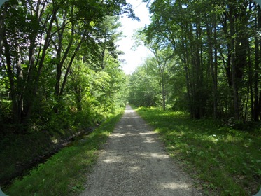 walking trail 004