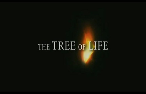 The-Tree-of-Life-trailer