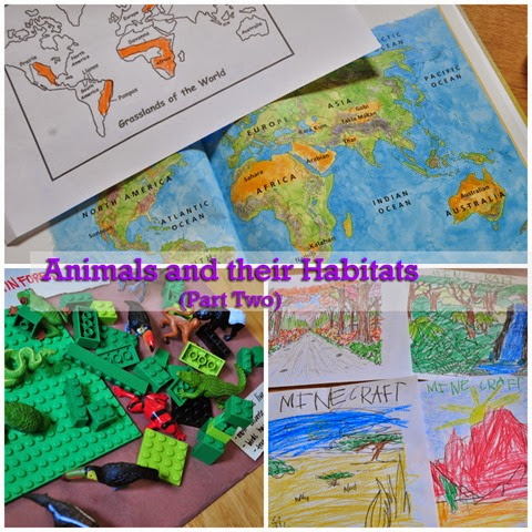 Animals and their Habitats Lesson Two