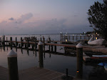 IMG_4365.jpg