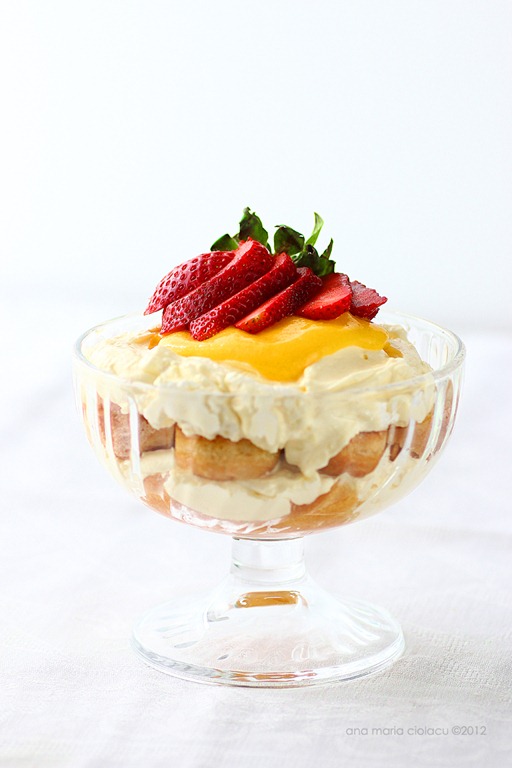[Tiramis%25C3%25B9%2520cu%2520crema%2520de%2520mascarpone%2520si%2520lemon%2520curd%25201%255B3%255D.jpg]