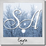 SA_Winter_2011_icon01LR