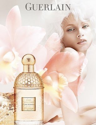 [aqua%2520allegoria%255B5%255D.jpg]