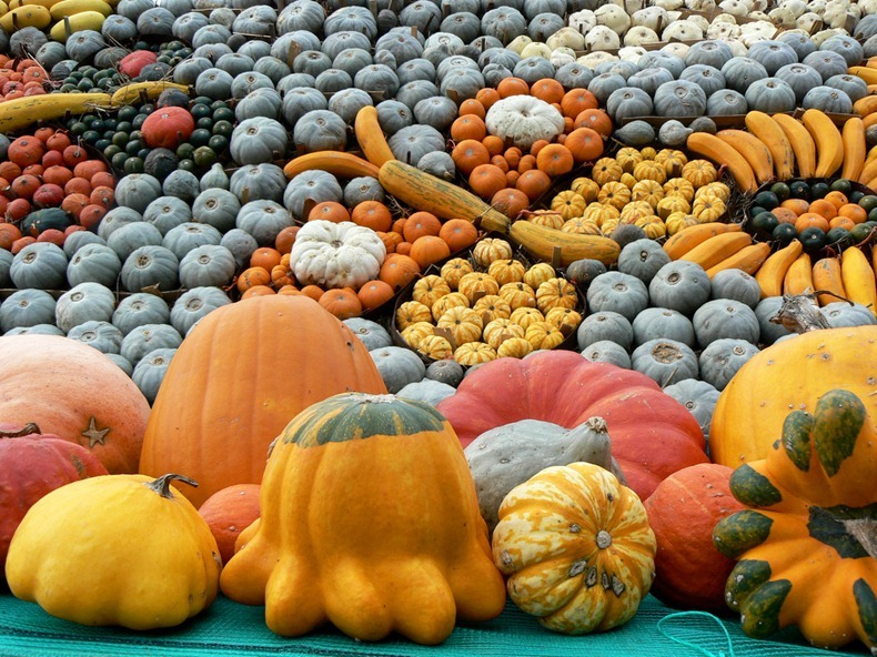 slindon-pumpkin-festival-4