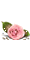 [30x60rose-TR-4middle_thumb%255B2%255D.gif]