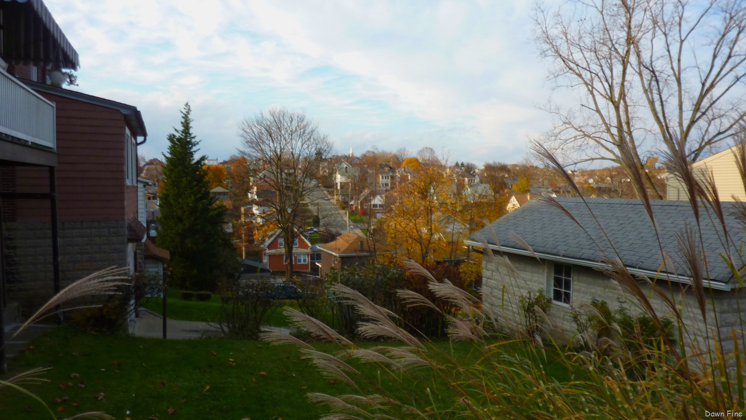 [Pittsburgh_0077.jpg]